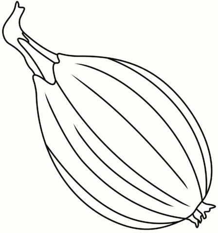 Onion Bulb Coloring Page